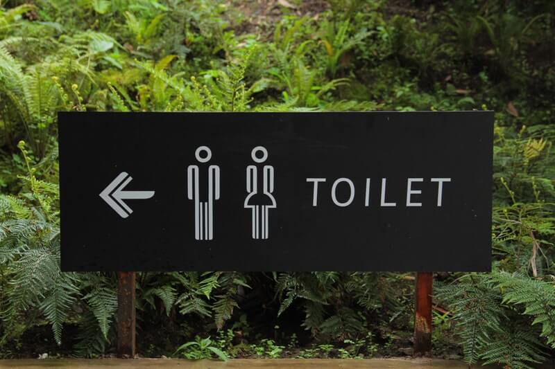 Toilets in foreign places