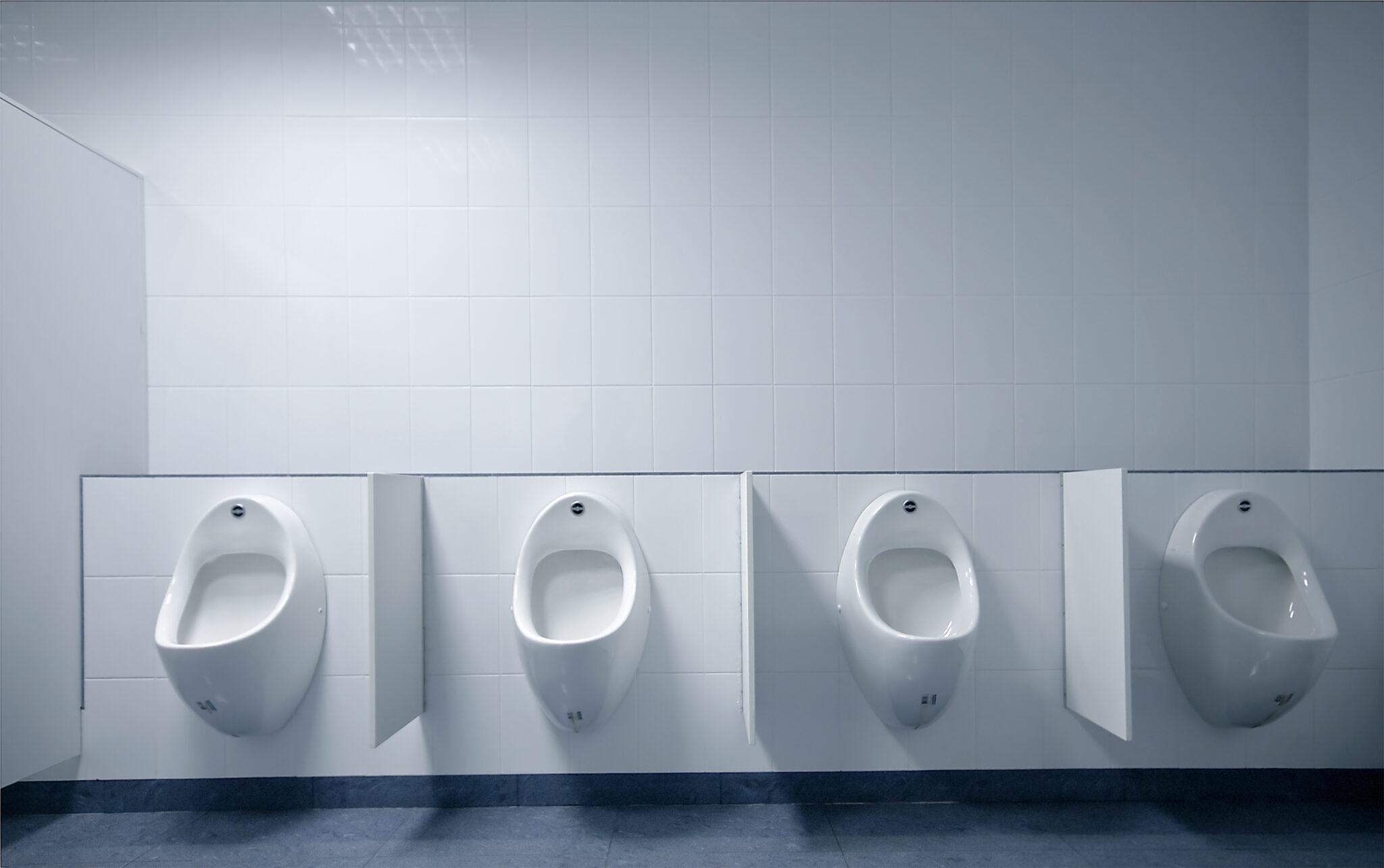 The Different Types of Materials Used in Commercial Urinal Dividers ...